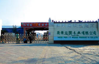 案例15