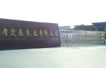 案例17